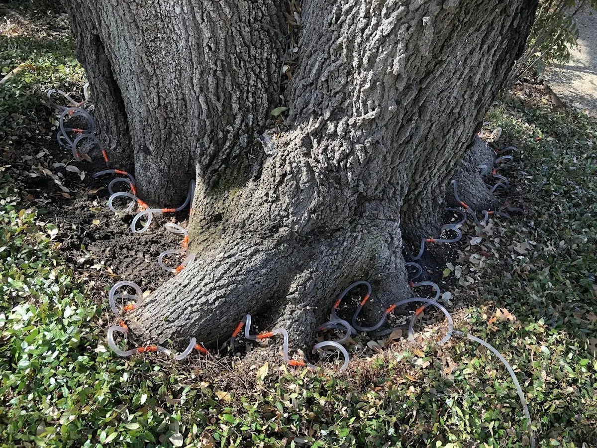 Detailed Shrub and Hedge Trimming job site in Happy