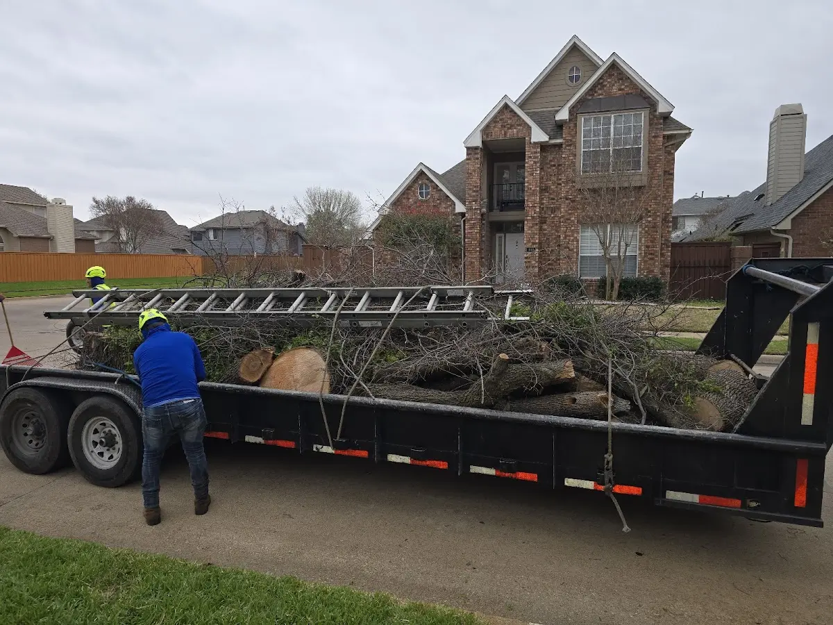 Expert Tree Removal with proper safety equipment in Happy